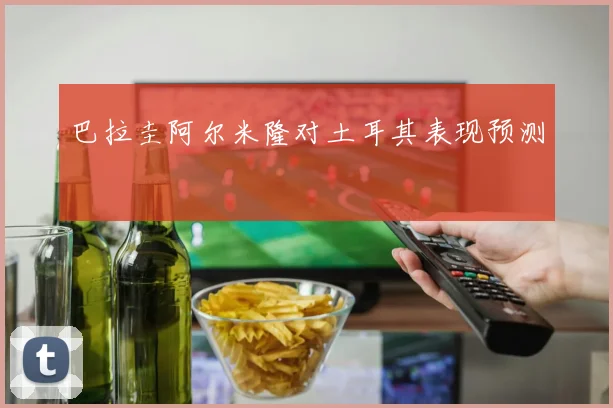 巴拉圭阿尔米隆对土耳其表现预测