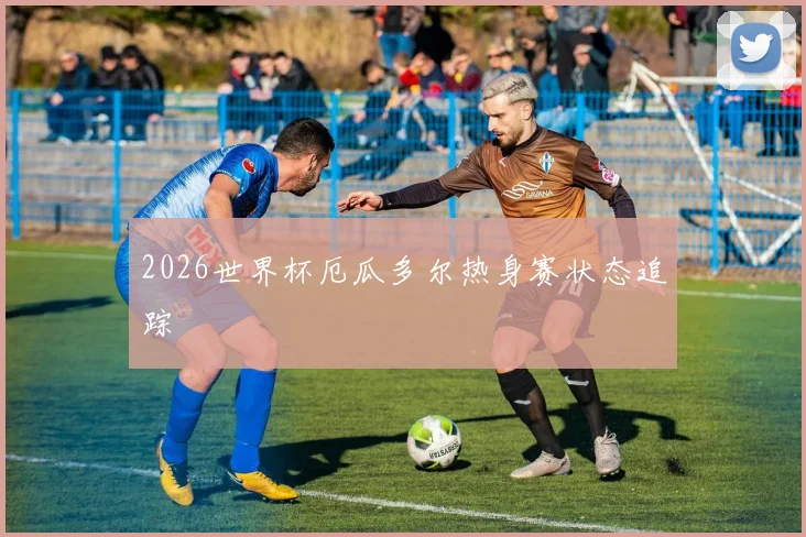 2026世界杯厄瓜多尔热身赛状态追踪